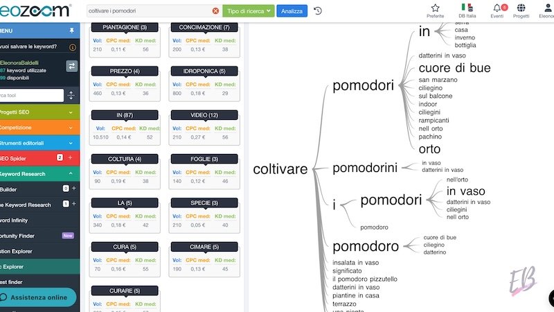 SEOZoom esplora keyword per topic grafico SEOZoom esplora keyword per topic grafico